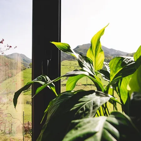 Gospodarstwo wiejskie Casa Longo Llames de Parres